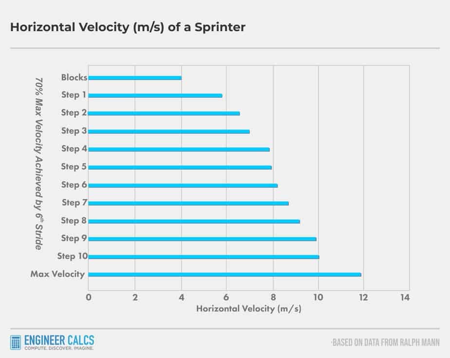 what average speed of a human