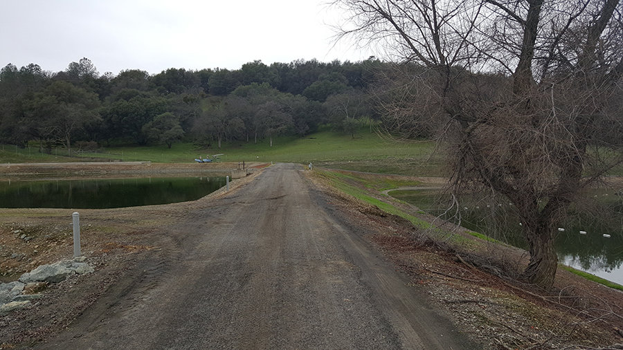 mulch and vegetation for dust control